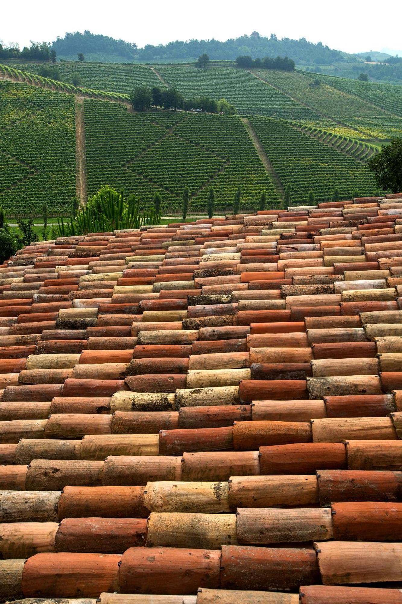 Relais Di Tenuta Santa Caterina B&B Grazzano Badoglio Zimmer foto