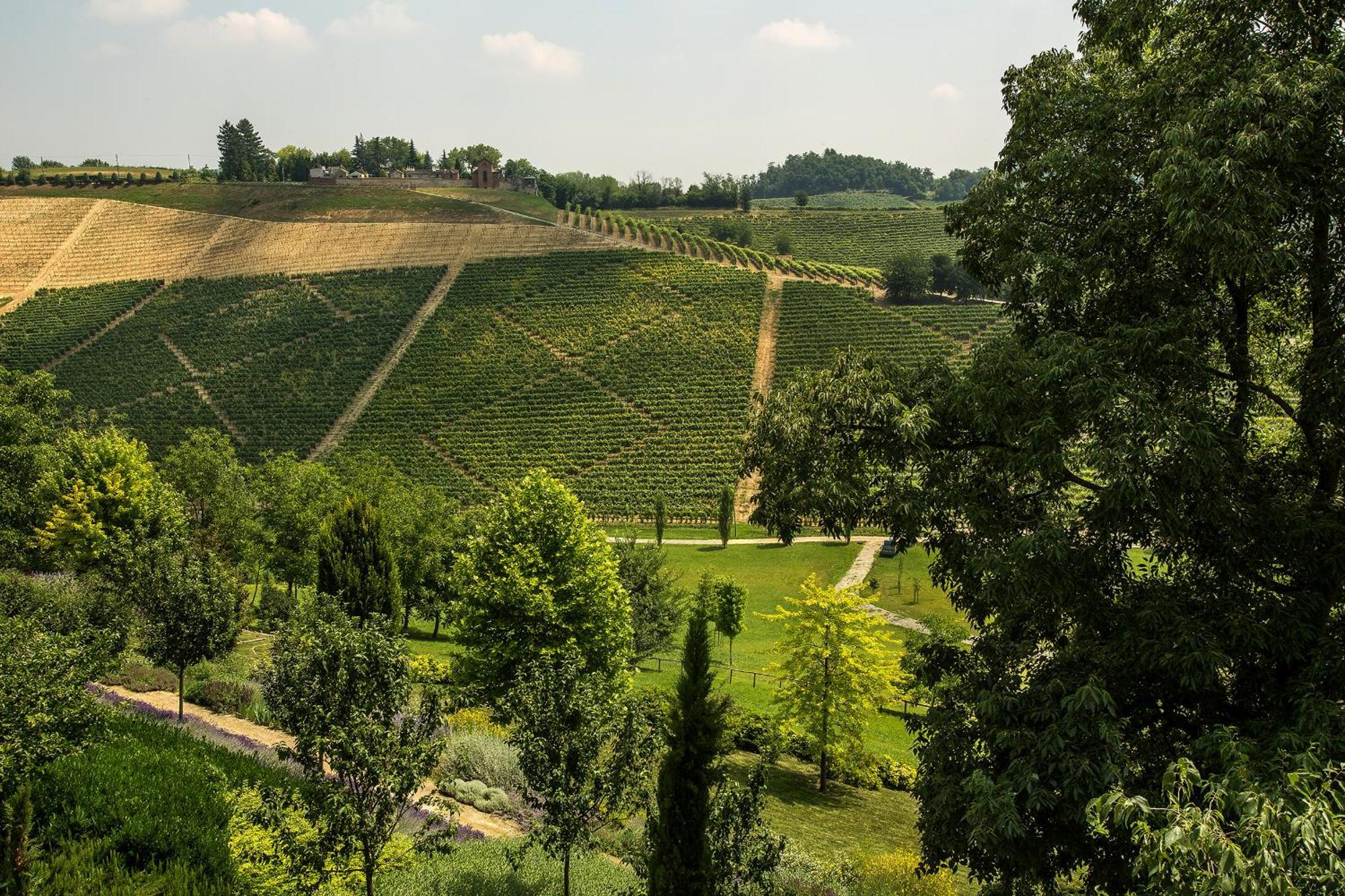 Relais Di Tenuta Santa Caterina B&B Grazzano Badoglio Zimmer foto